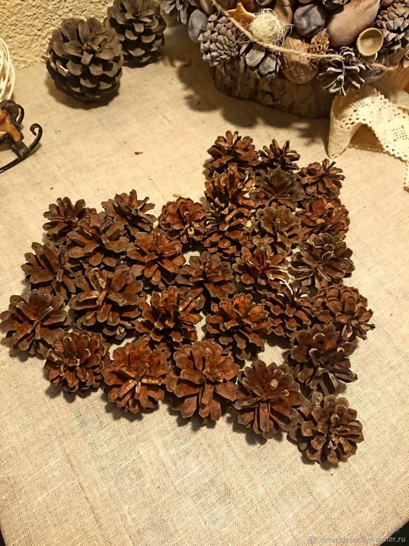 Сова из шишек и листьев