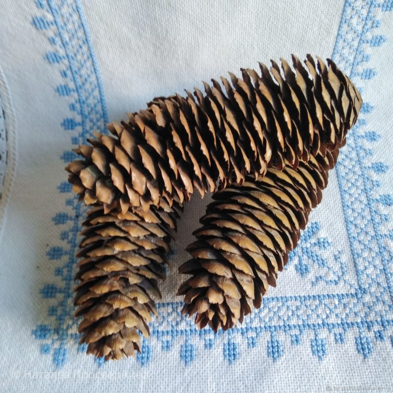 Золотые шишки