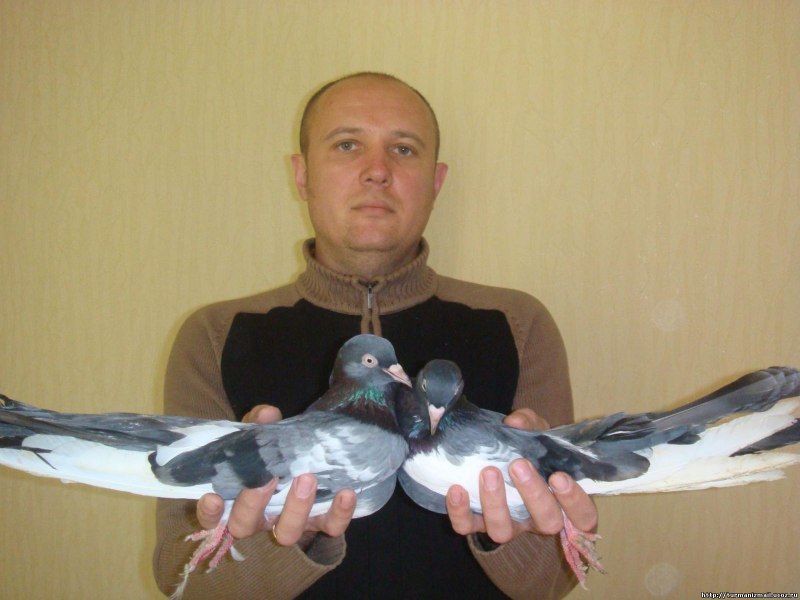 Турман Максим Михайлович