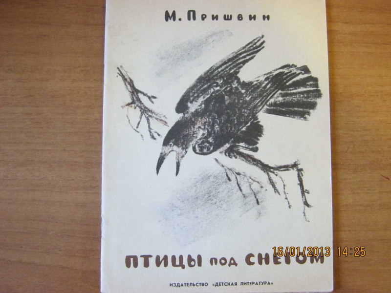 Птицы под снегом книга
