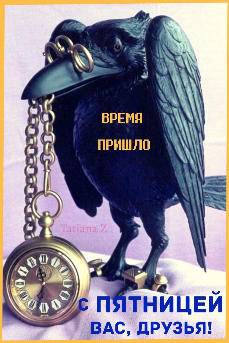 «Мудрый ворон»