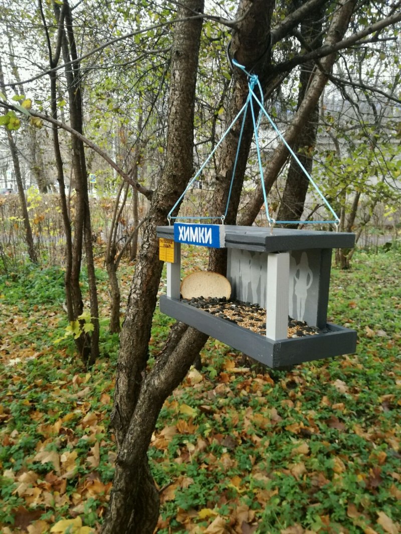 Оригинальные кормушки для птиц