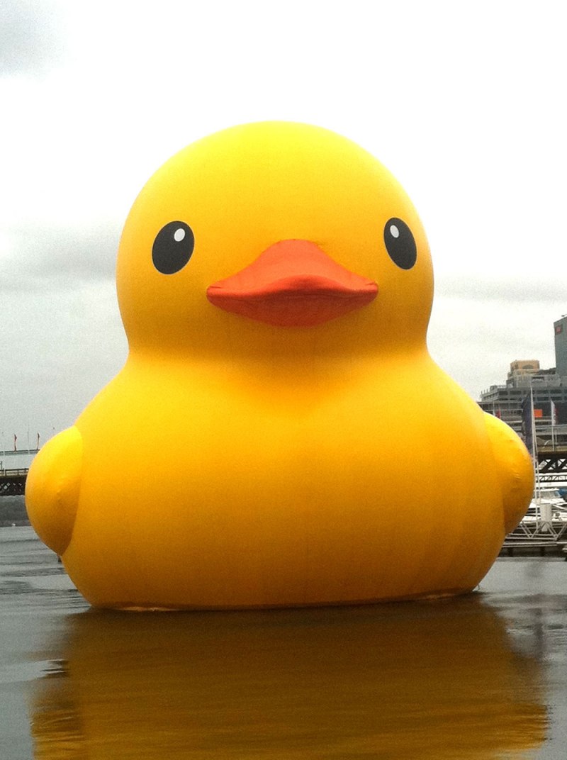 Rubber Duck фильм