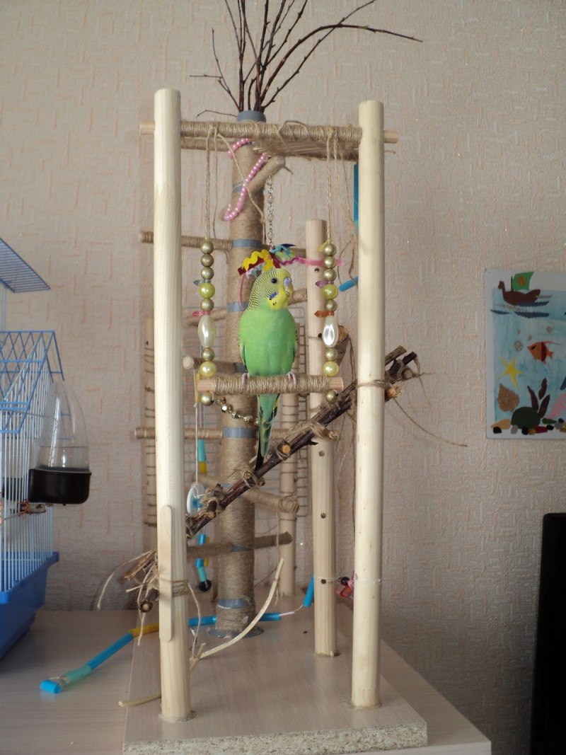 Игровая площадка для попугая
