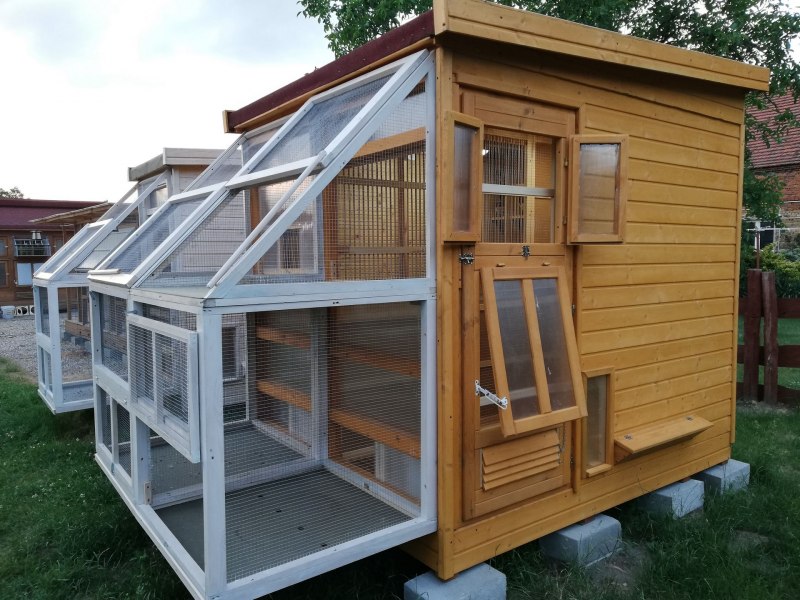 Инвентарь для голубятни