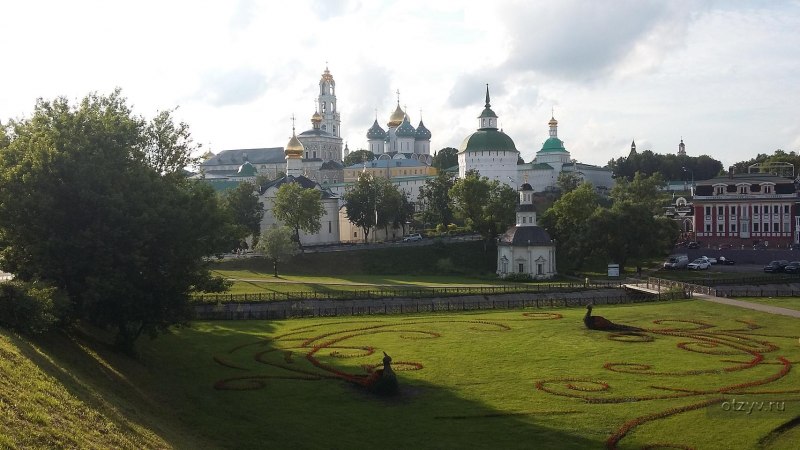 Человек кормит попугая