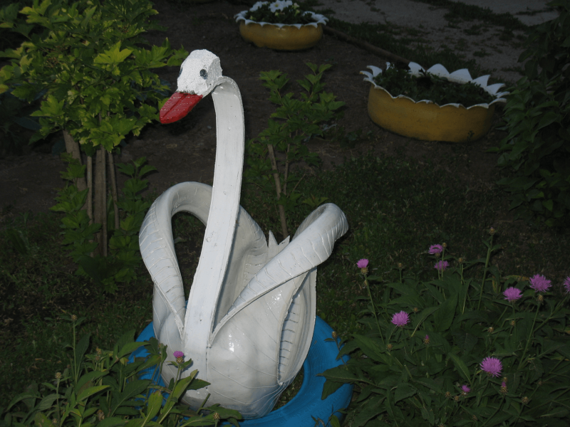 Лебеди на даче