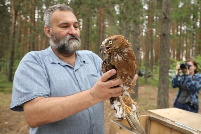 Спасение редких птиц