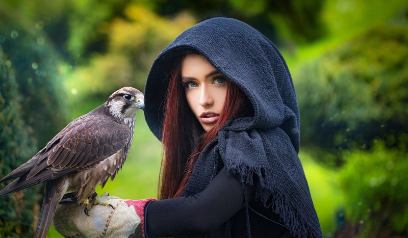 Corvus Corax птица ворон