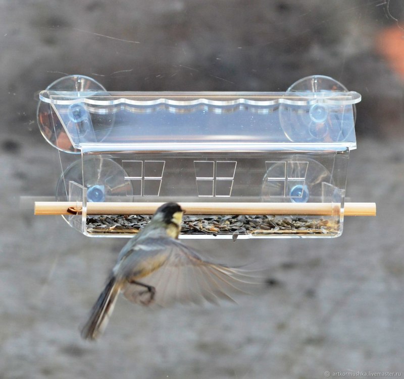 Window Feeder кормушки