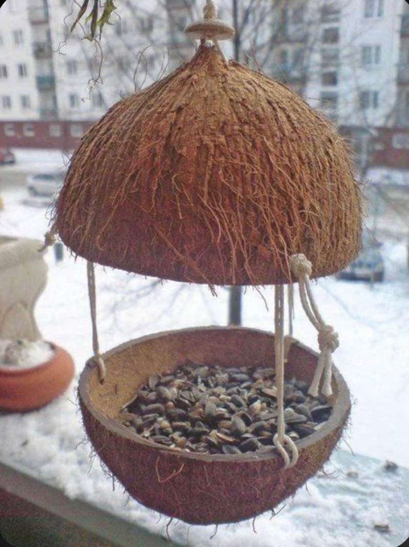 Кормушка из кокоса
