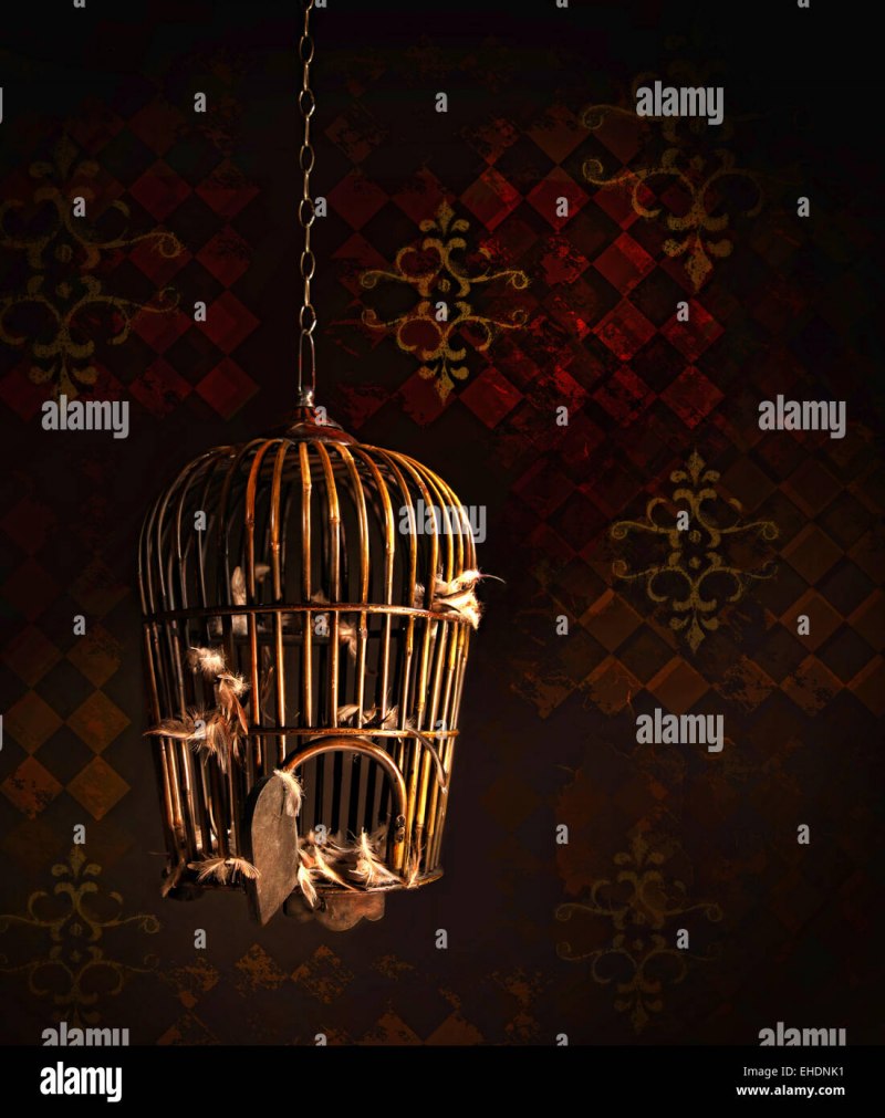 Клетка Golden Cage r2f