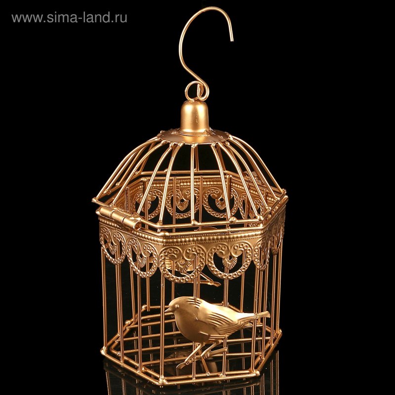 Птичья клетка