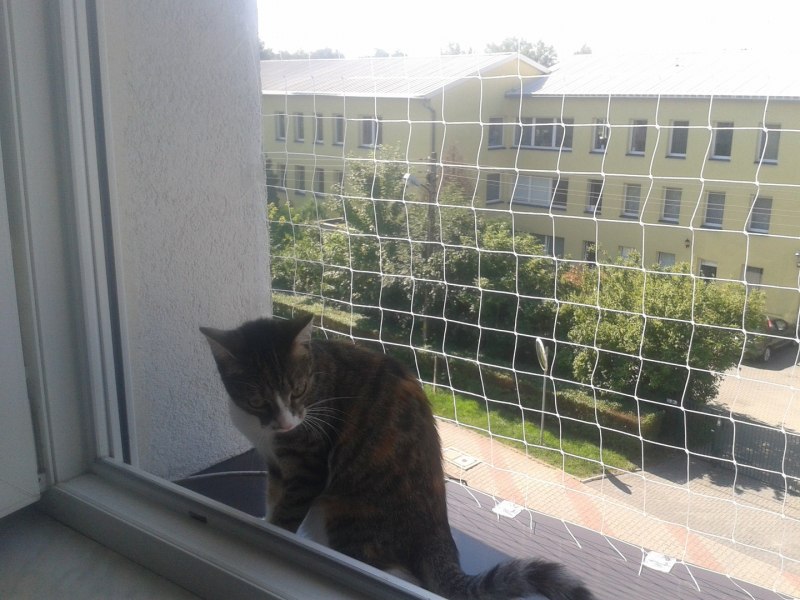 Домашний вольер