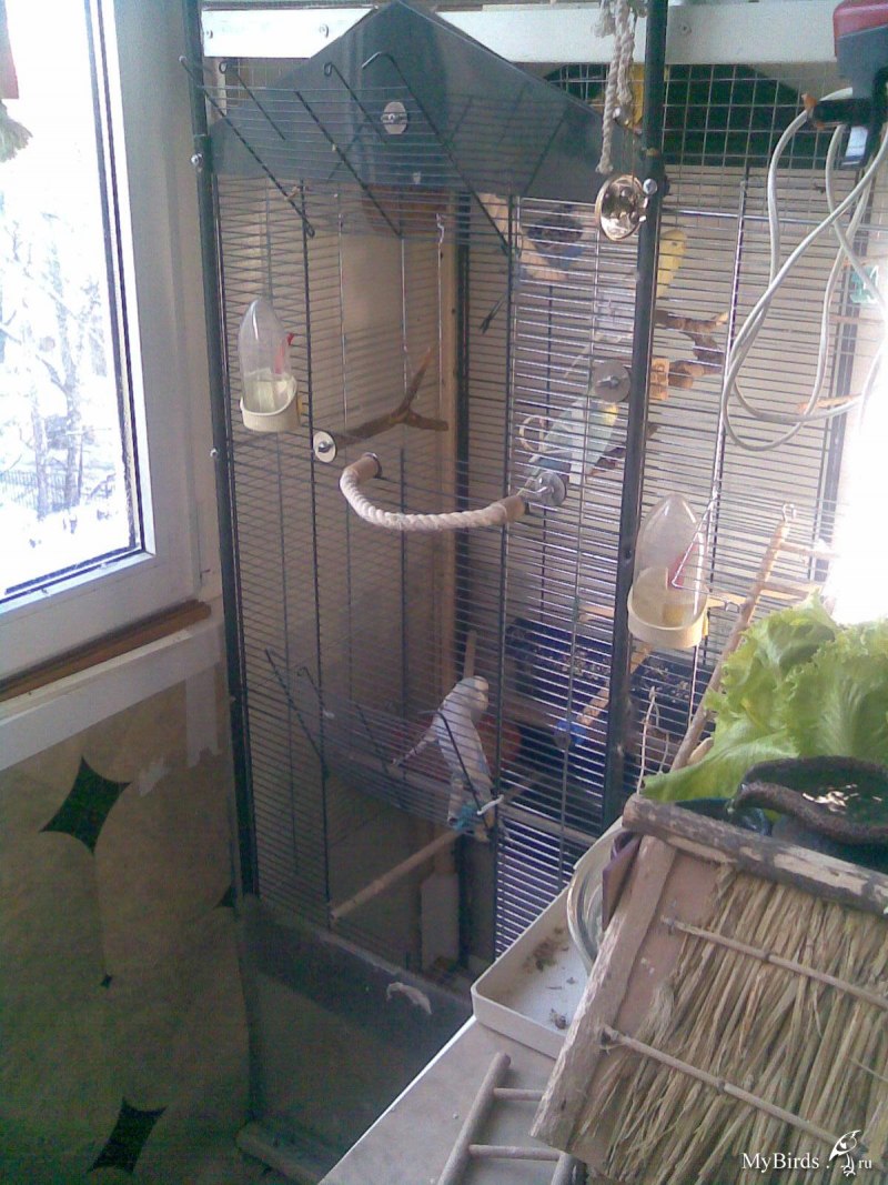 Ограждение для кошек на балкон