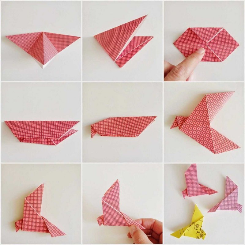 Satoshi Kamiya Bird