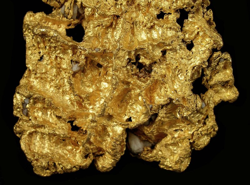 Gold Nugget Diet