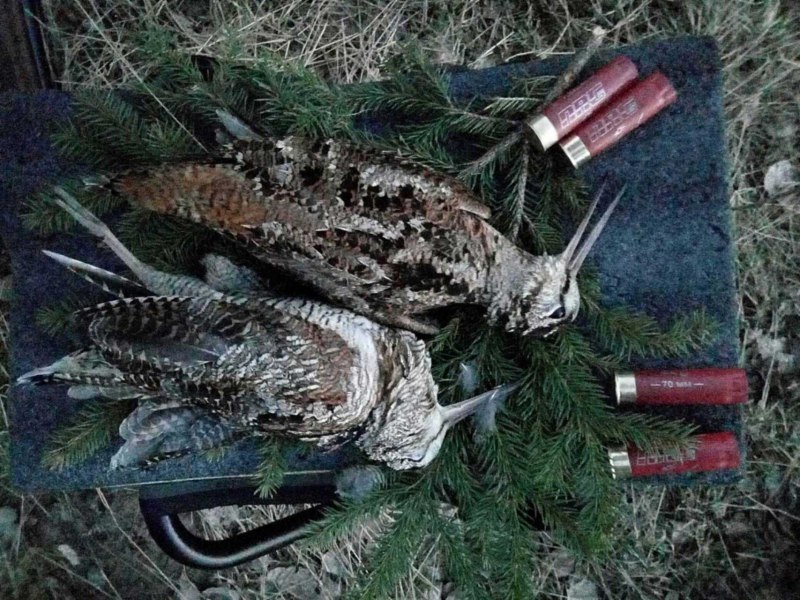 Брошь Woodcock вальдшнеп