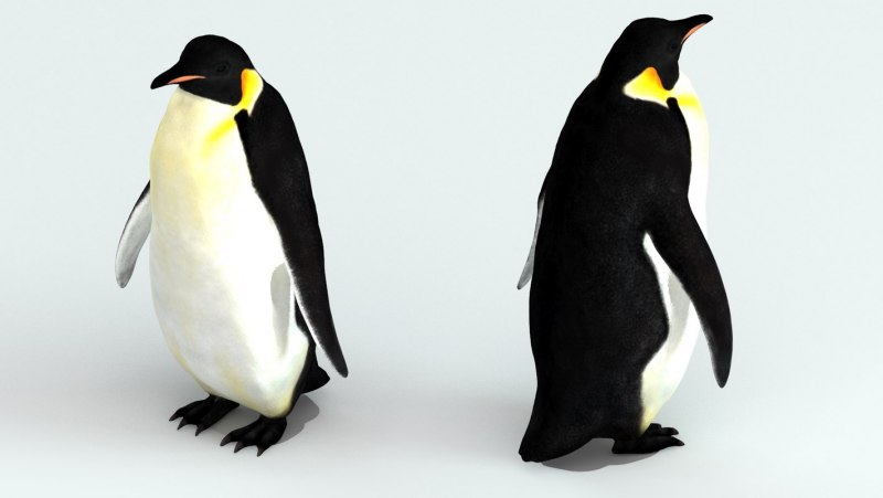 3d модель пингвина шкипера