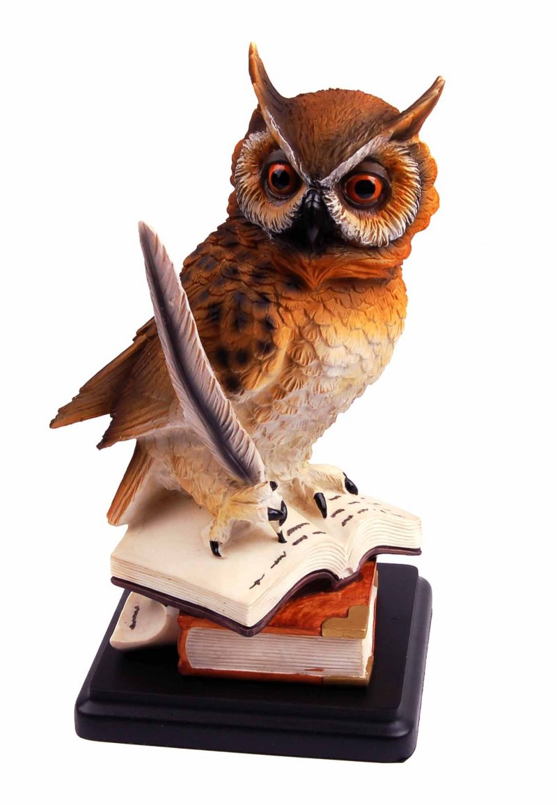 Сова с книгой