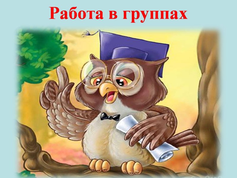 Сова в очках