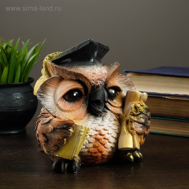 Ученая Сова