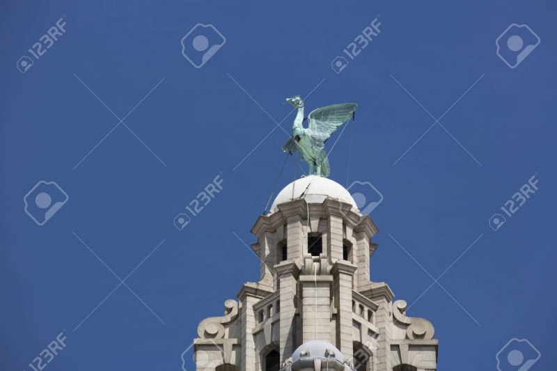 Royal Liver building Birds