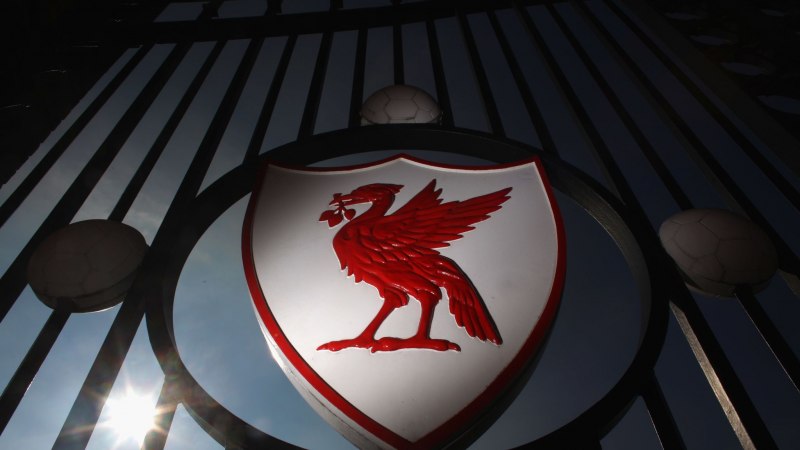 Liverbird статуэтка