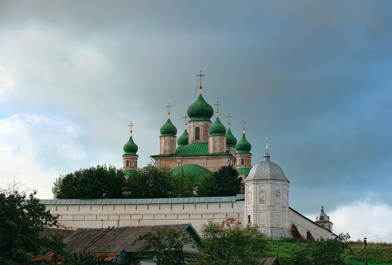 Певчий пересмешник птица
