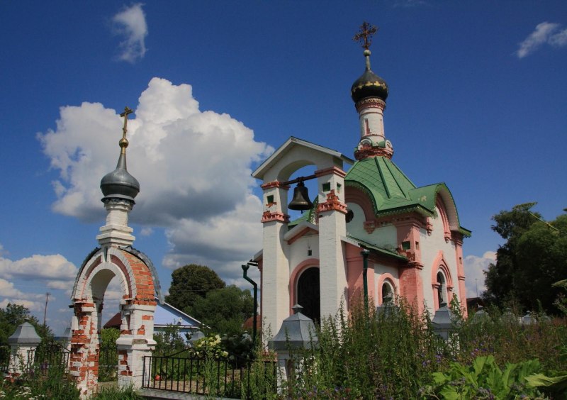 Птица с черно белым оперением