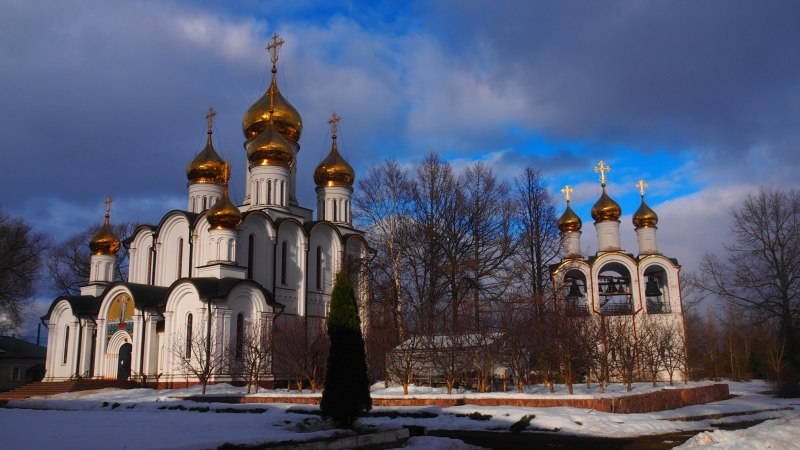 Птицы Переславля-Залесского фото с названиями