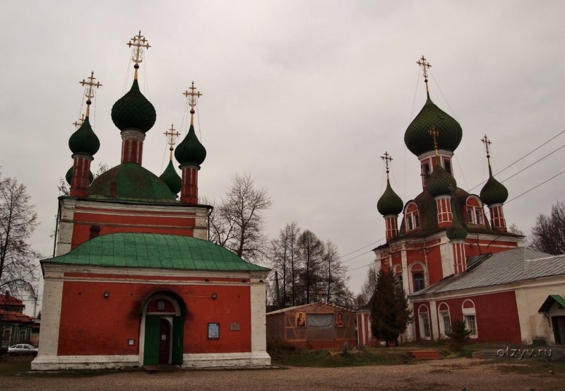 Усатая синица синица