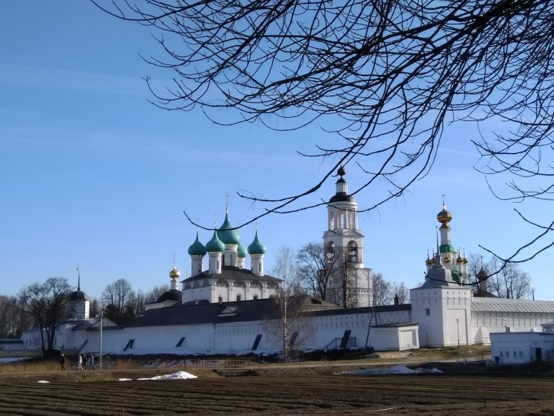 Птицы Переславля Залесского