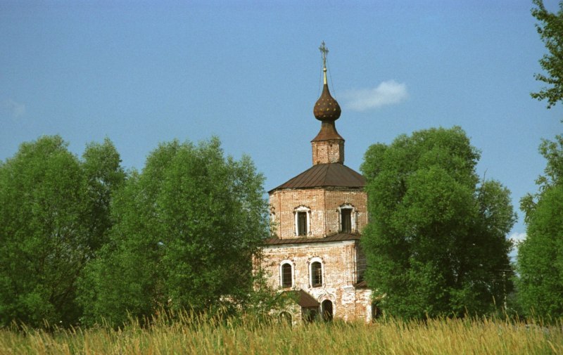 Хищная птица Тимонино