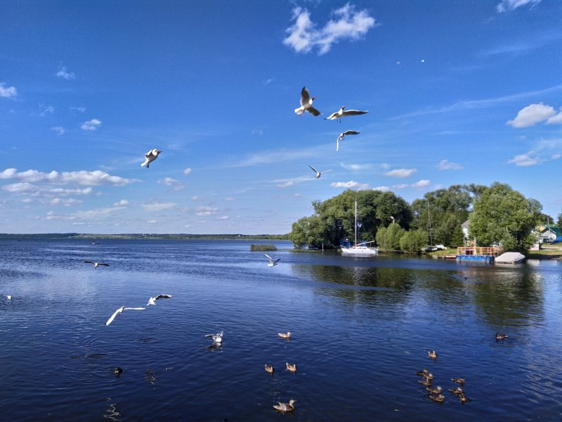 Переславль-Залесский скульптуры