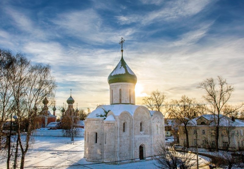 Птицы Переславля Залесского