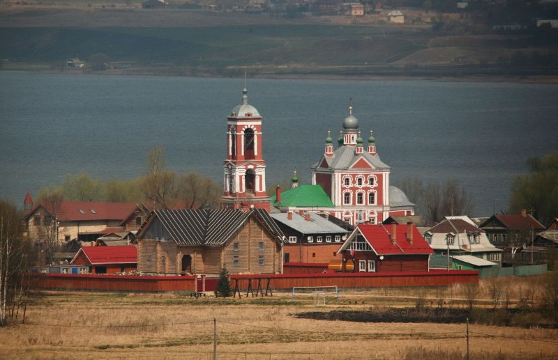 Птицы Переславского края