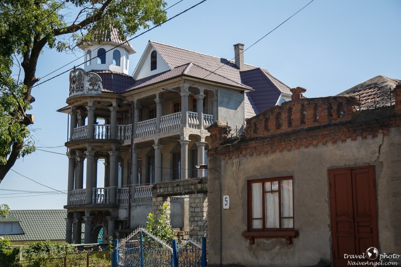 Сорока-воровка