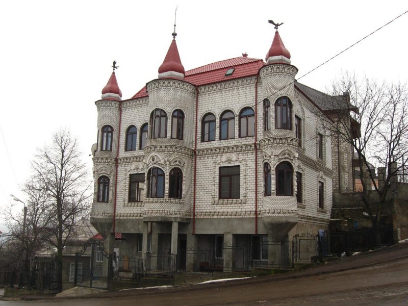 Птица стрекочет