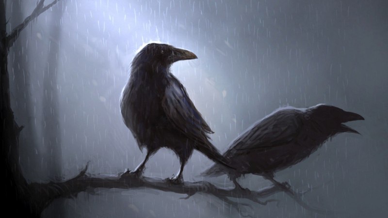 Фамильяр ворон