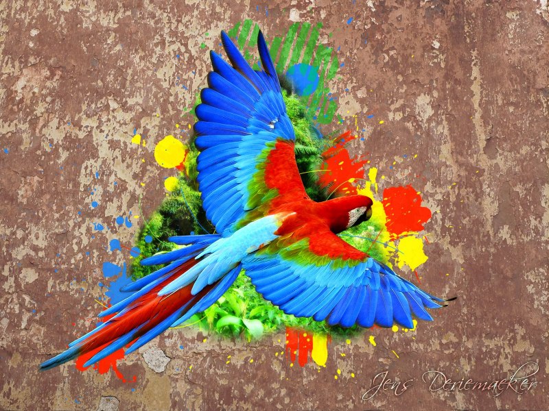 Parrot os бои