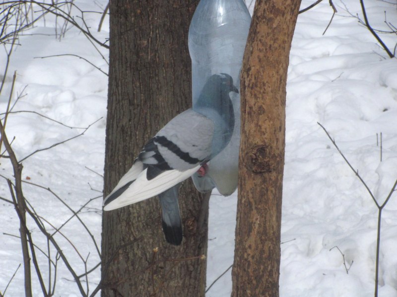 Кормушка голубей на ножке домик