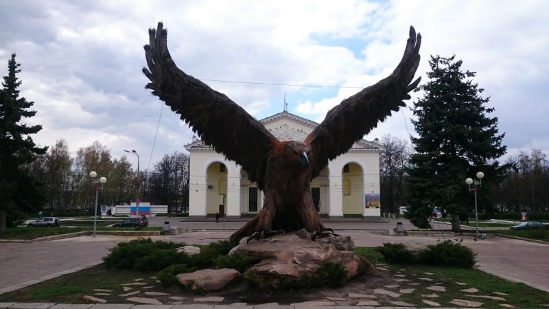 Белоголовый Орел Африкан
