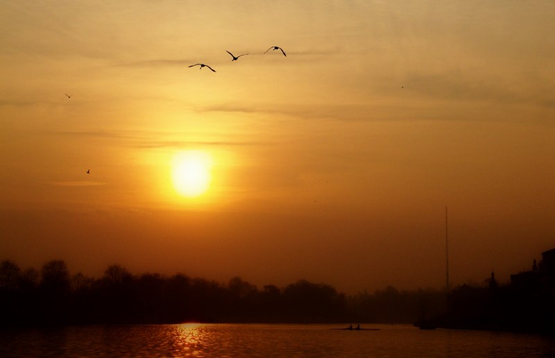 Cloudless Sunrise