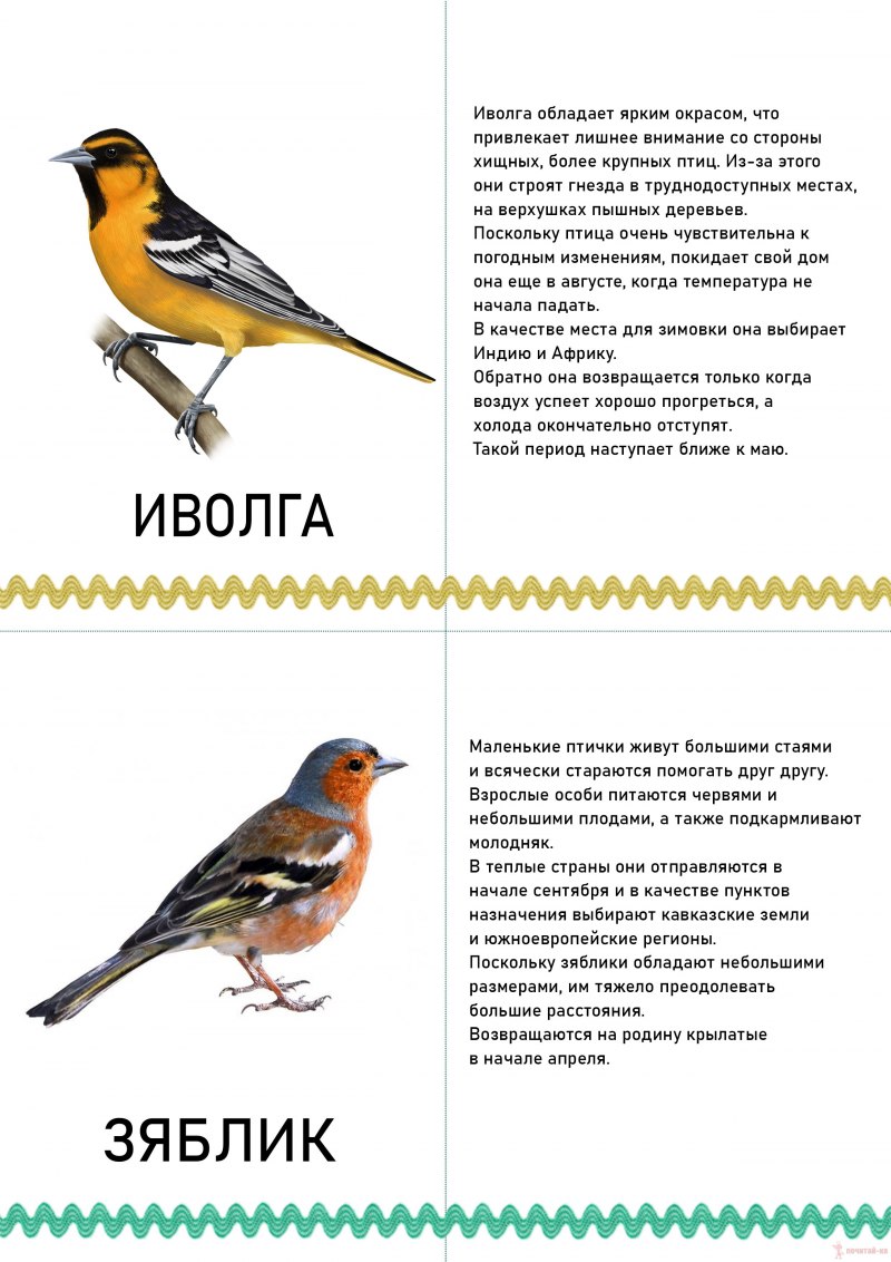 Sparrow, Table.
