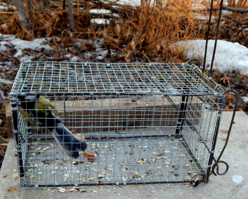Клетки для птиц Inter-Zoo p064 Eliza