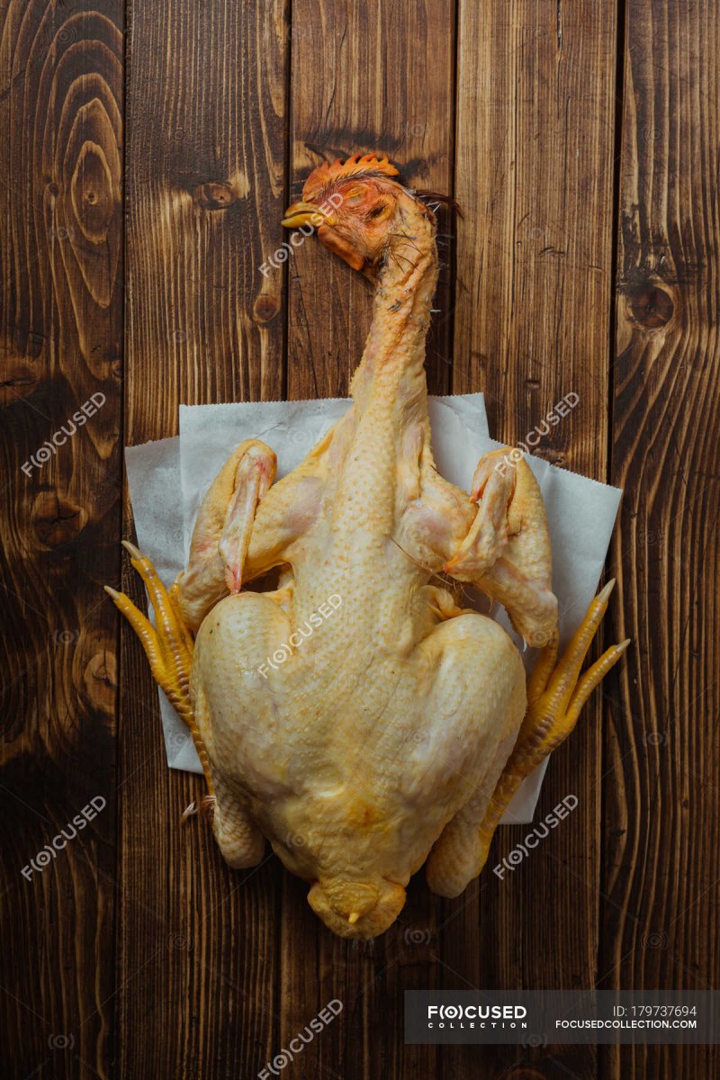 Funny Poultry feet