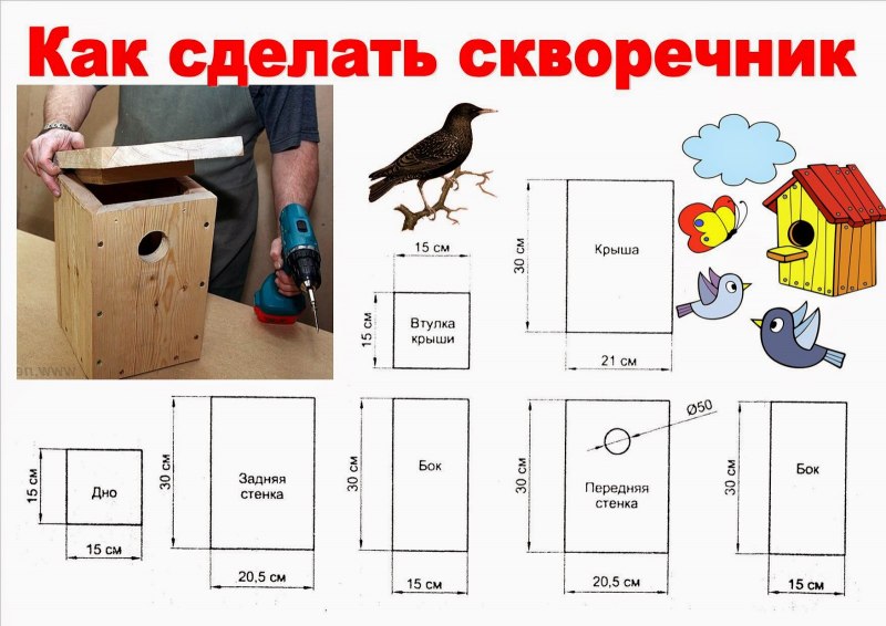 Размер Летка для синичника
