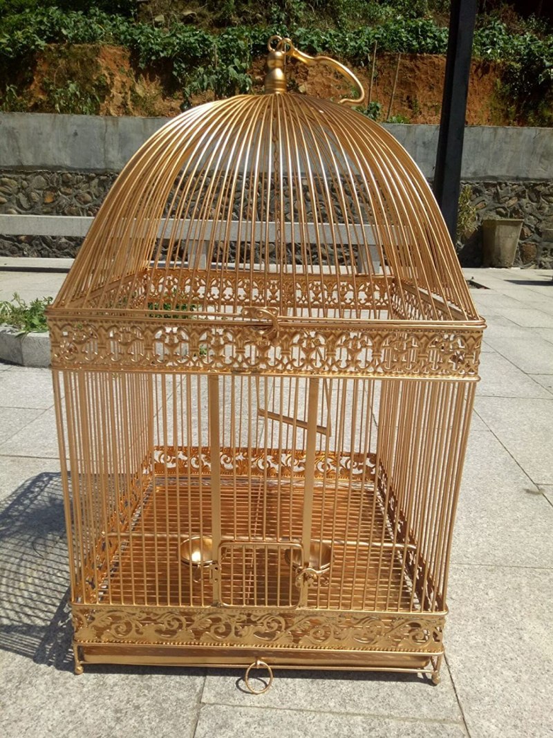 Птица в клетке