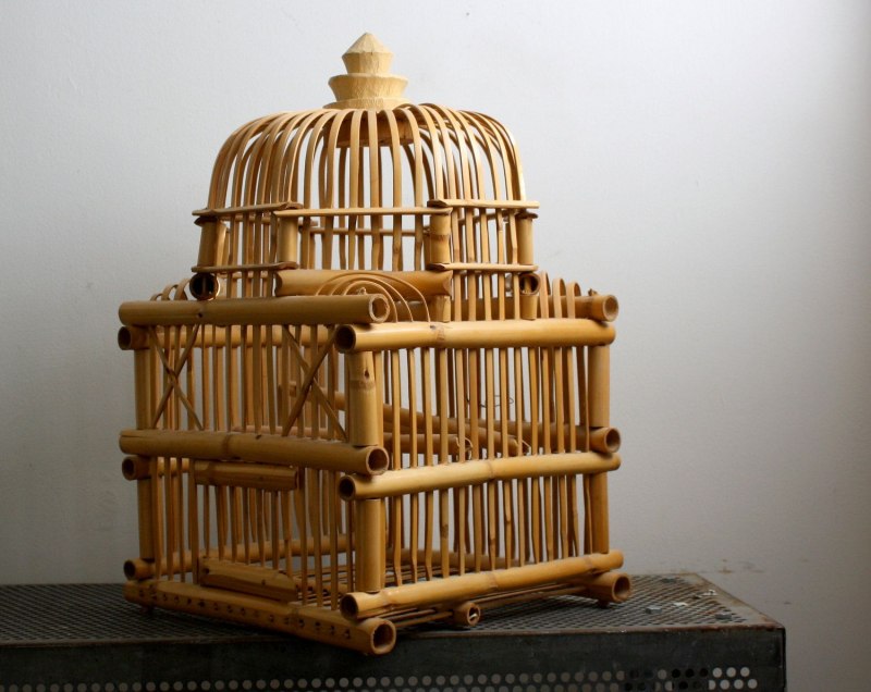 Aviary Cages